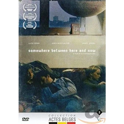 Afbeelding van Somewhere Between Here And Now (DVD)
