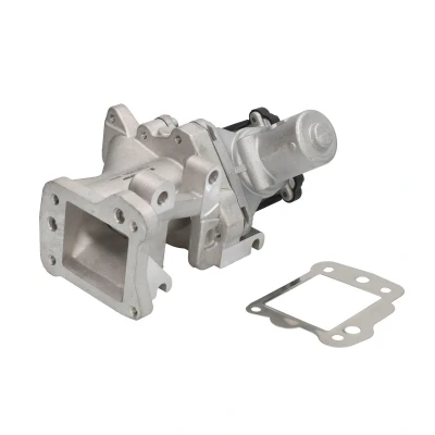 Afbeelding van Wahler EGR klep 710975D