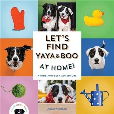 Image de Let&#039;s Find Yaya and Boo at Home! /anglais