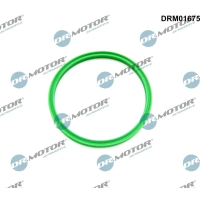 Afbeelding van DR.MOTOR AUTOMOTIVE DRM01675 Dichtring, laadluchtslang BMW: 3 Touring, 5 Saloon, VOLKSWAGEN: Transporter Bus, Golf 5,