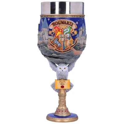 Afbeelding van Nemesis Now Harry Potter Hogwarts School of Witchcraft and Wizardry Wijnkelk 19.5cm