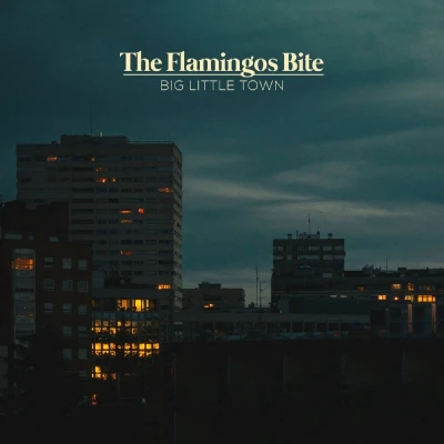Afbeelding van The Flamingos Bite Big Little Town (LP)