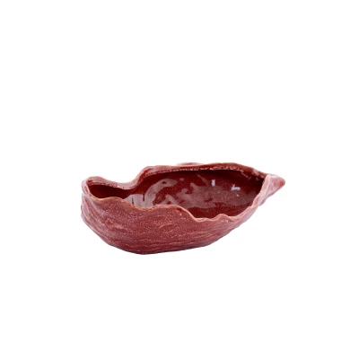 Afbeelding van Light &amp; Living Schaal KALAKO 41x20.5x10cm Rood