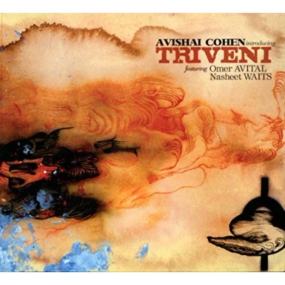 Afbeelding van Avishai Cohen Introducing Triveni (CD)