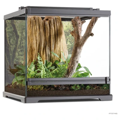 Afbeelding van Exo Terra Terrarium Reptielen Frog Pijlgifkikker 45,7x45x45cm Zwart 1st