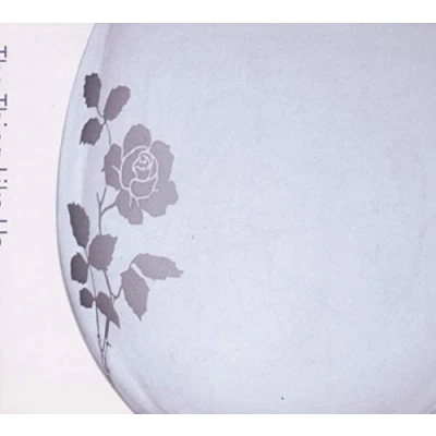 Afbeelding van Yannis Kyriakides The Thing Like Us (CD)