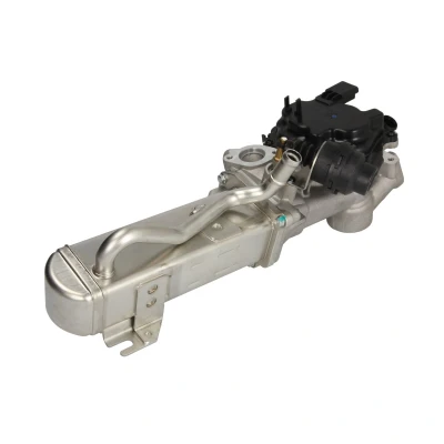 Afbeelding van EGR klep NRF 48205
