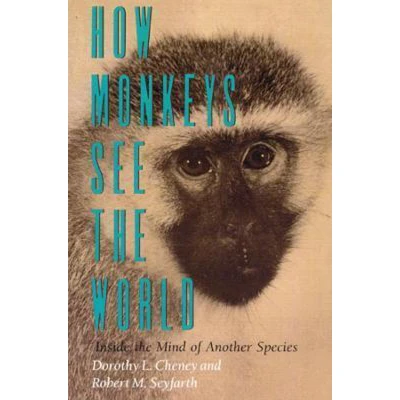 Afbeelding van How Monkeys See the World