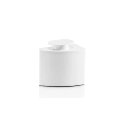 Image de Braun BRSF001 Cartridge anti calcaire Blanc