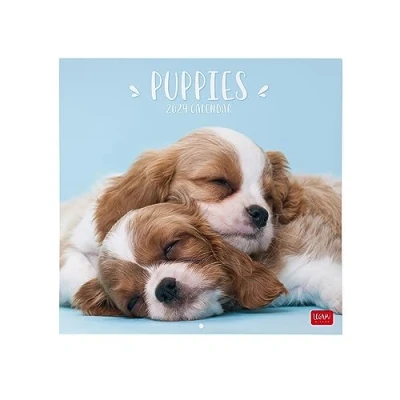 Afbeelding van Legami Wandkalender 2024, 12 maanden en jaarplanner, ruimte voor notities notities, weeknummer, 6 talen, sterrenbeelden internationale feestdagen, Cellophanatura eenvoudig, 30 x 29 cm