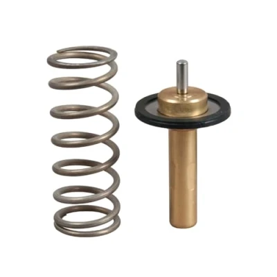 Afbeelding van Gates Thermostaat TH51690G1