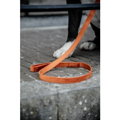 Image de Kentucky Laisse pour Chien velours Orange 1,2m S