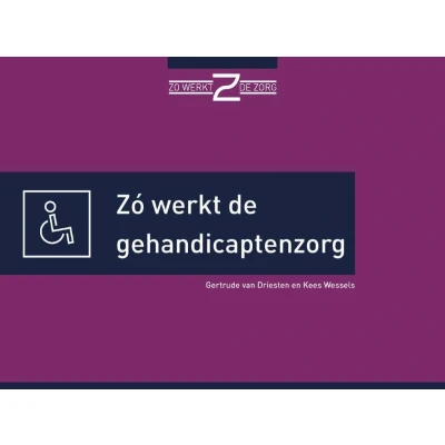 Afbeelding van Zó werkt de gehandicaptenzorg