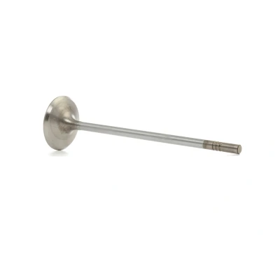 Afbeelding van NE Inlaatklep 147035000700