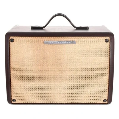 Afbeelding van Versterker Akoestische gitaar Ibanez Troubadour T30IIU 30W