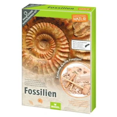 Afbeelding van moses. Expedition Nature Fossielenopgravingsset Gipsblok met 5 authentieke fossielen graafset graafgereedschap, vergrootglas en opbergtas
