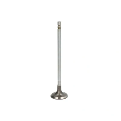 Afbeelding van TRW Engine Component Inlaatklep 171124