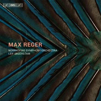 Afbeelding van Nörrkoping Symphony Orchestra, Leif Segerstam Reger: Orchestral Works (3 CD)