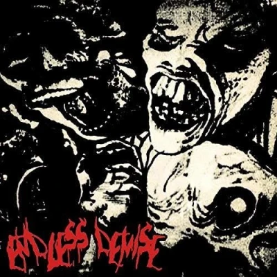 Afbeelding van Endless Demise &amp; Podrido Split (7&quot; Vinyl Single)