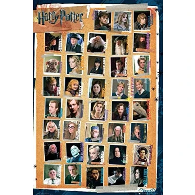 Image de Harry Potter et les reliques de la mort Affiche 61x91 cm