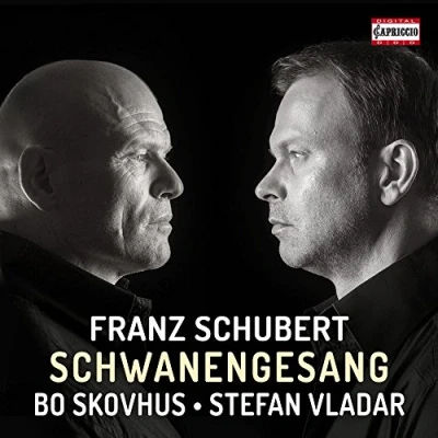 Afbeelding van Stefan Vladar Bo Skovhus Schwanengesang D. 957 (CD)