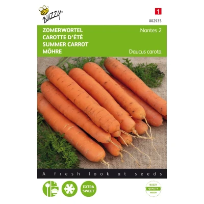 Afbeelding van Zomerwortel Nantes 2, halflange