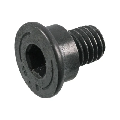 Afbeelding van FEBI BILSTEIN 180528 Schroef, remschijf Vooras, Achteras MINI: Hatchback