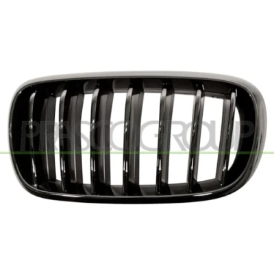 Afbeelding van PRASCO BM8272004 Grille Auto Links Glad Zwart