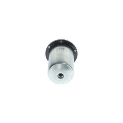 Afbeelding van BOSCH F 026 402 378 Brandstoffilter Pijpfilter 10mm RENAULT: MASTER 3 Bus, Trafic 3, Alaskan Pickup, NISSAN: NP300 Navara Pickup