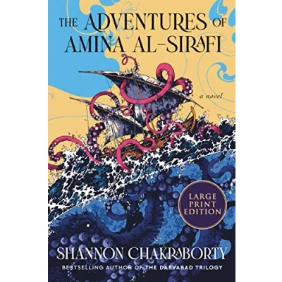 Afbeelding van The Adventures of Amina Al Sirafi