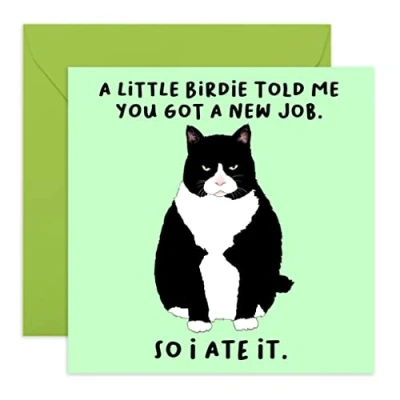 Afbeelding van Central 23 grappige nieuwe jobkaart &quot;A Little Birdie... New Job&quot; Wenskaart voor haar Wordt geleverd met stickers