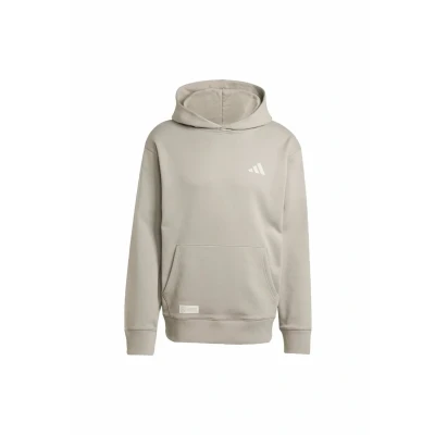 Afbeelding van adidas Performance MERCEDES AMG PETRONAS FORMULA ONE TEAM PREMIUM SWEAT HOODIE Heren Beige S
