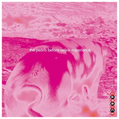 Afbeelding van The Pearls Before Swine Experience Wake Up (CD)