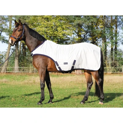 Image de Busse Walker rug Fly Comfort