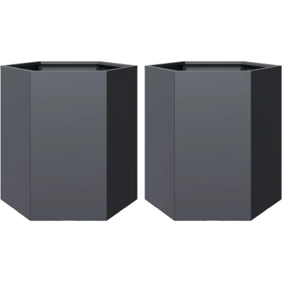 Afbeelding van vidaXL Plantenbakken 2 st zeshoek 46x40x45 cm staal antracietkleurig