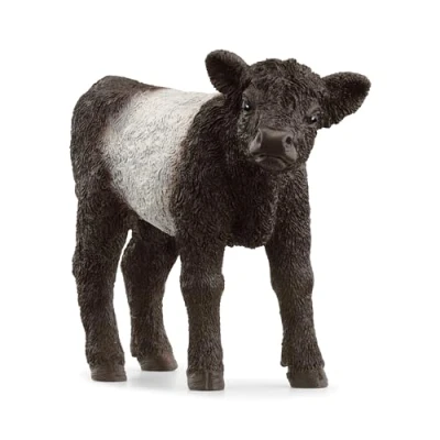 Afbeelding van Schleich farm world galloway kalf 8 cm