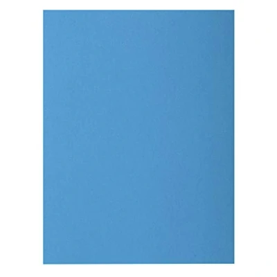 Afbeelding van Exacompta Ref. 210020E 100 stuks ROCK&#039;s hardmappen 210 g/m² in felle kleuren PEFC gecertificeerde mappen afmetingen 24 x 32 cm voor DIN A4 kleur: roze
