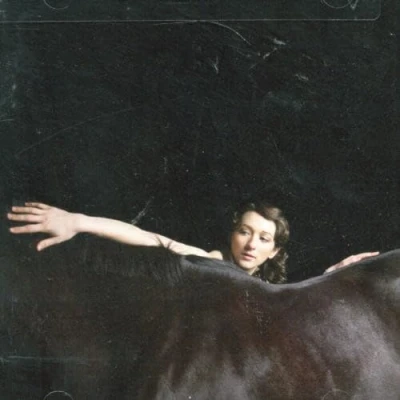 Afbeelding van My Brightest Diamond Bring Me The Workhorse (CD)