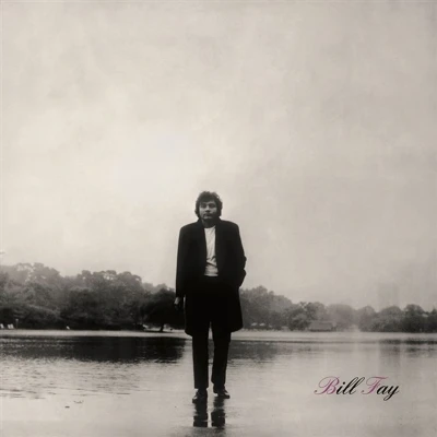 Afbeelding van Bill Fay (LP)