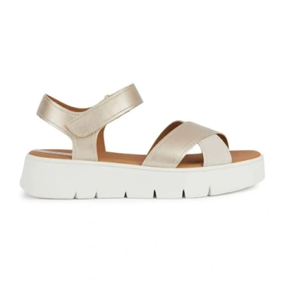 Afbeelding van GEOX D DANDRA 40 Brons metaal 41 EU