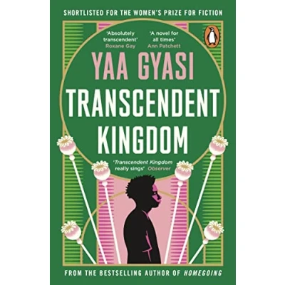 Afbeelding van Transcendent Kingdom