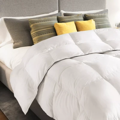 Image de Couette 220x240 CM AELA blanche en plume d&#039;oie anti acarien 500 gr