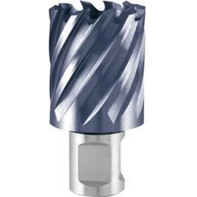 Afbeelding van RUKO 108213F Kernboor 13 mm TiAIN 1 stuk(s)