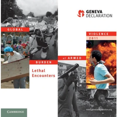 Afbeelding van Global Burden of Armed Violence