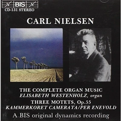 Afbeelding van Elisabeth Westenholz, Camerata Chamber Choir, Per Enevold Nielsen: The Complete Organ Music (CD)