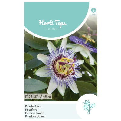 Afbeelding van Passiflora Coerulea Passiebloem Hortitops
