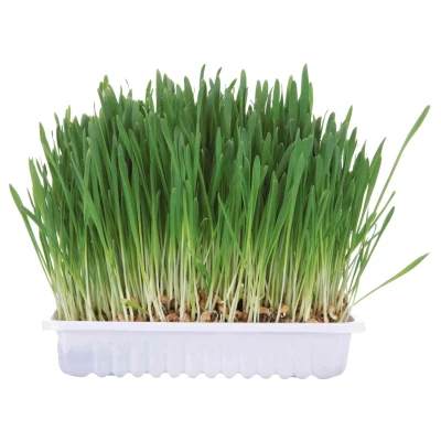 Afbeelding van Trixie Knaagdiergras 100 GR