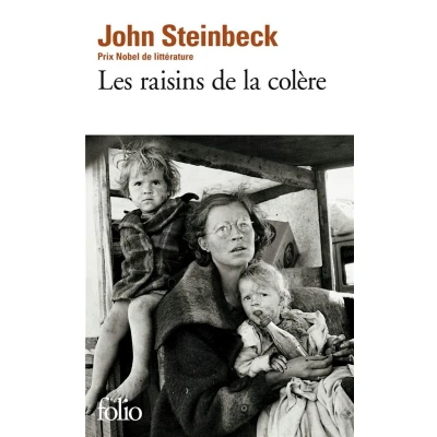 Afbeelding van Les raisins de colere
