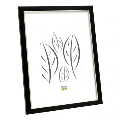 Afbeelding van Deknudt Kader in zwart met zilverkleurig biesje 15x20 S46AF2