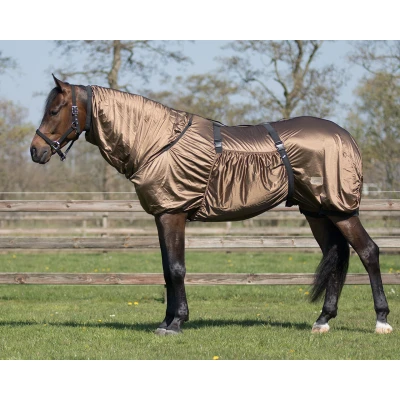 Image de QHP Eczema rug